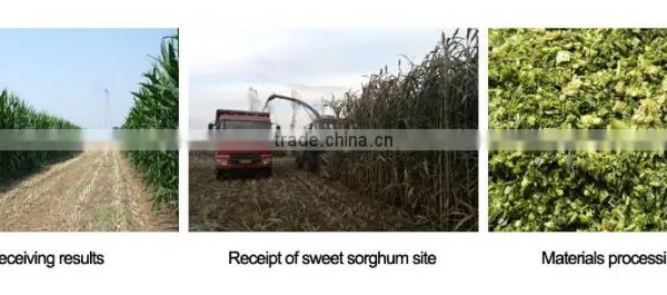 JAPAN TECH Corn Forage Harvester Silage Harvester for Corn Harvesting Machine photo-3