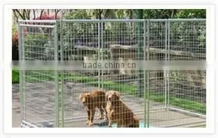 Pet Cage(factory ,low Price)