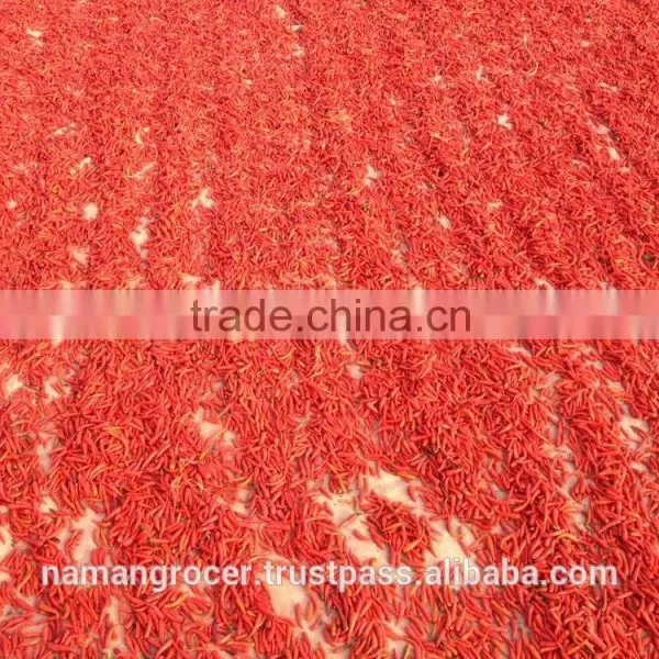 Sun Dry Red Hot Chilli Pepper photo-5