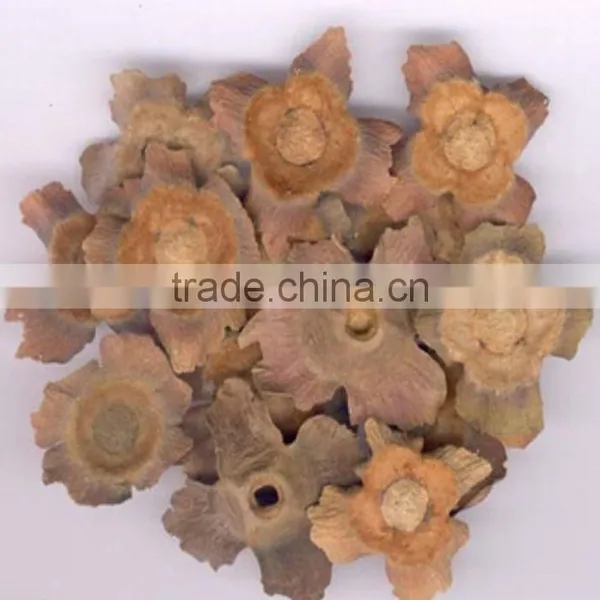 Manufactory Supplier of Persimmon Calyx Kaki Extract photo-4