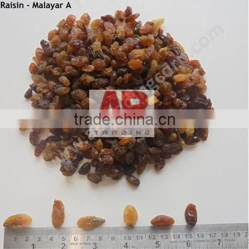 Black Raisins Good Quality /Dried Raisins From India / Best Quality photo-4