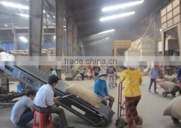 VIETNAM WET POLISHED ROBUSTA COFFEE BEANS photo-5