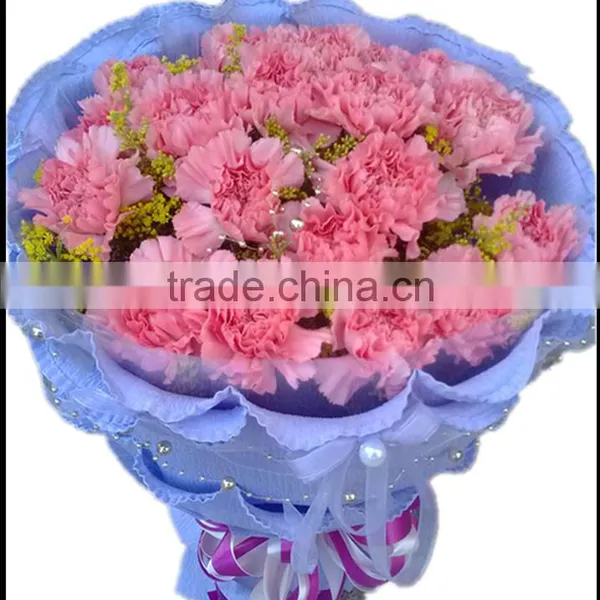 Mother's Day Gift Fresh Carnation Flower Wholesale Price photo-6