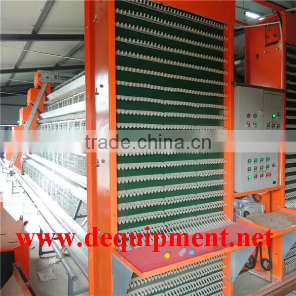 Egg Belt Imported From Italy Automatic Egg Collection photo-2
