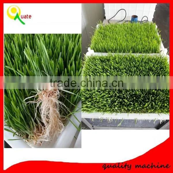 Best Selling Factory Directly Bud Seeding Wheat Growing Machine For Wheat Bud Growing photo-6