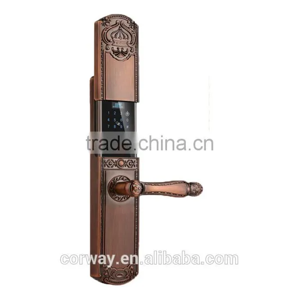 New Style Multi-functional Intelligent Lock photo-3