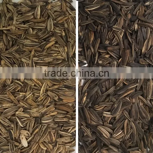 Automatic CCD Color Sorter/seperator Machine Price for Sunflower Seeds photo-5