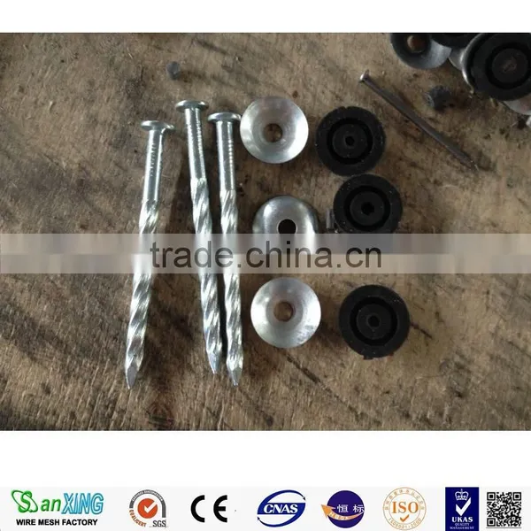 Twist Umbrella Roofing Nails Galvanized Roofing Nai /roofing Nail With Umbrella Head photo-2