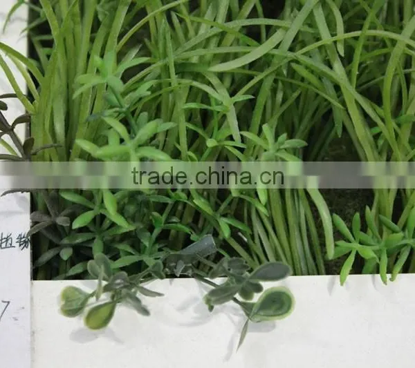 China Guangdong Artificial Grass Wall Interior Green Wall for Decor photo-5