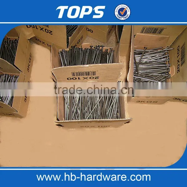 China DingZhou Manufacture Q195 Common Nails Iron photo-3