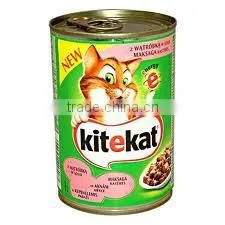 KiteKat