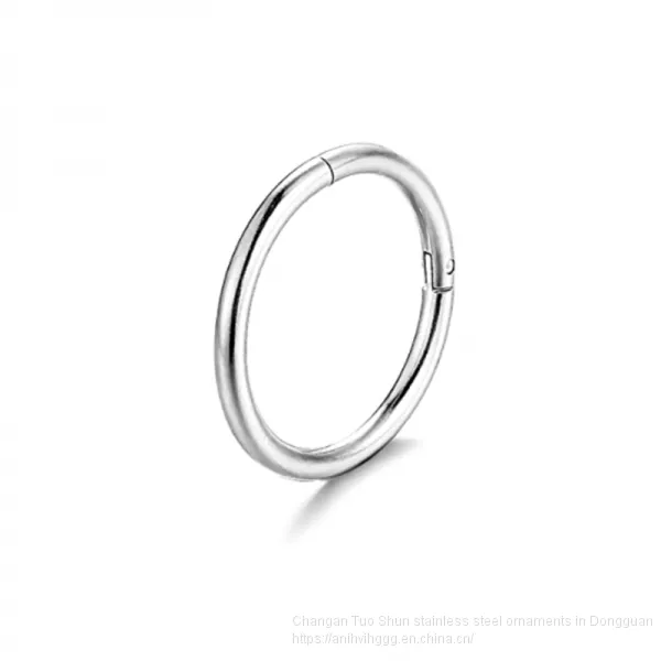 Ins Hot Stainless Steel, Stainless Steel Titanium Steel Earrings Earrings, Nose Studs, Human Body Piercing, Foreign Trade Manufacturers Wholesale photo-3