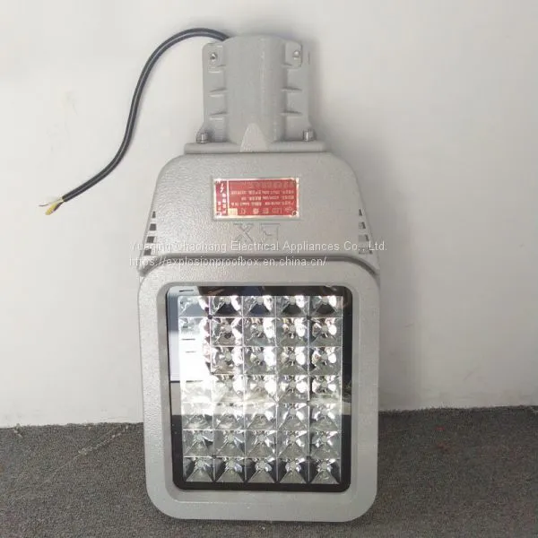 HRD9 Maintenance-free Explosion-proof LED Road Lamp High Efficiency Explosion-proof Street Lamp Pole photo-3
