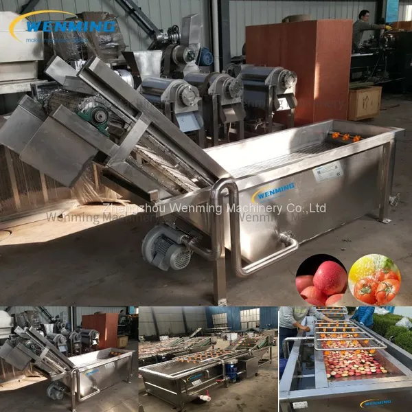 Surfing Type Fruits&Vegetables Washing Machine Connect With Juicer Machine Fruits Washer Juicer Machine photo-2
