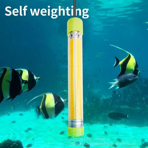Comlite 60W 12V LED Underwater Fishing Light Submersible Fishing Light Commercial Fishing