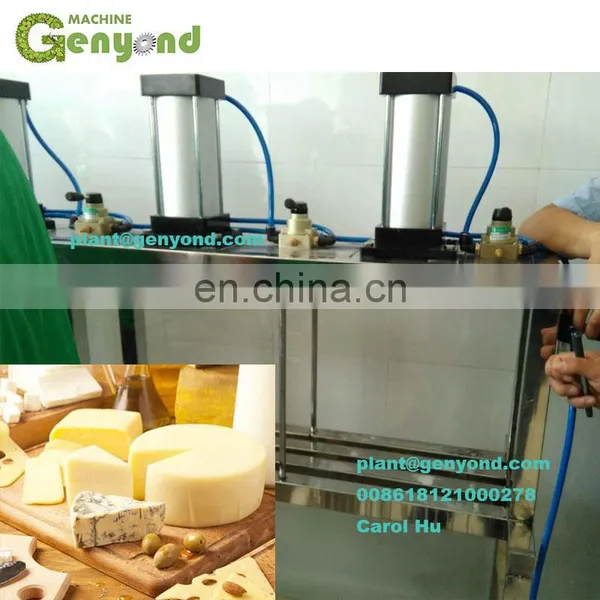 Factory Direct Supplier Round Cheese Moulding Machine photo-2