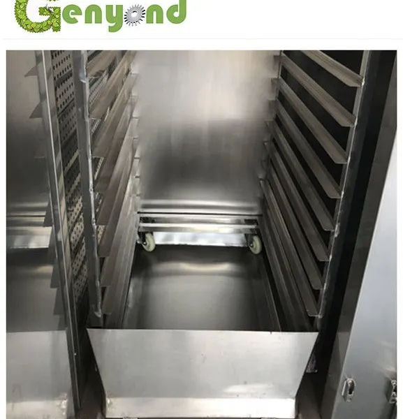 Industrial Strawberry Hot Air Drying Oven Machine PLC Core Components Efficient Dryer Type photo-5