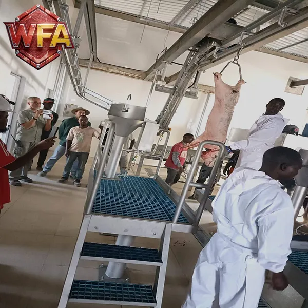 CE Certified Stainless Steel Pig Slaughter LineHigh Capacity for Modern Abattoirs Slaughterhouses photo-4