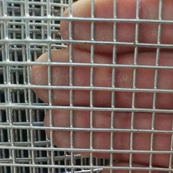 Corrosion-Resistant Stainless Steel Galvanized Welded Screen and Crimped Wire Mesh photo-2