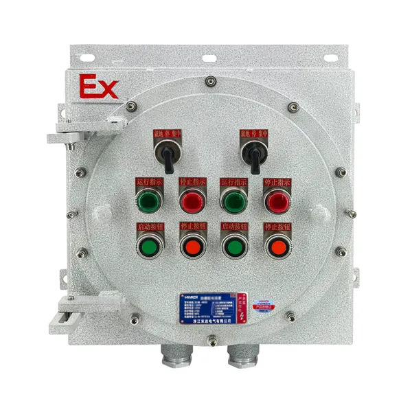 IP66 Flameproof Distribution Box Ex d Explosion Proof Control Box for Chemical Industry