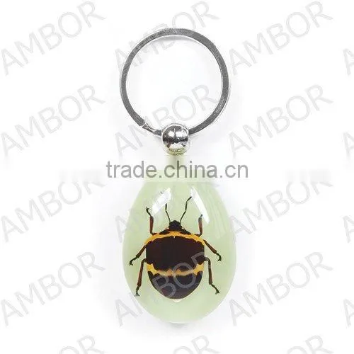 Wholesale Real Flower and Insect Keychain Promotional photo-6