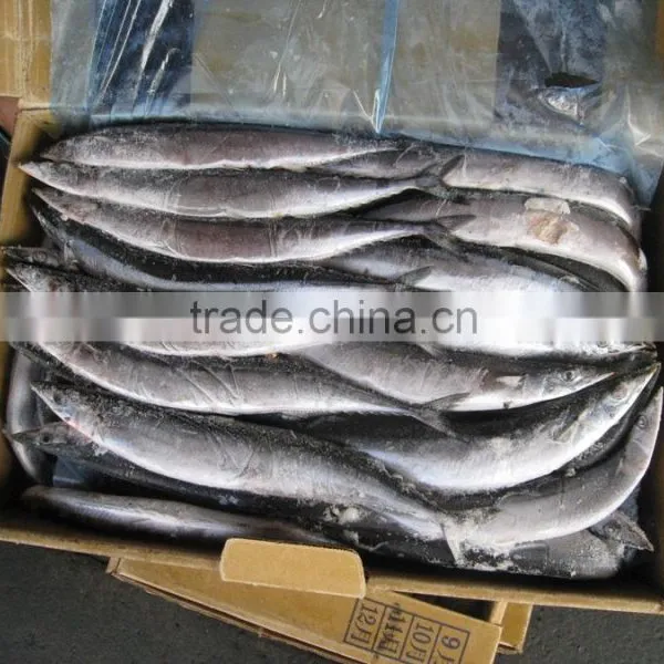 Frozen Fish Pacific Saury Whole Round photo-6