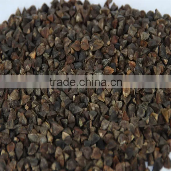 Buckwheat photo-2