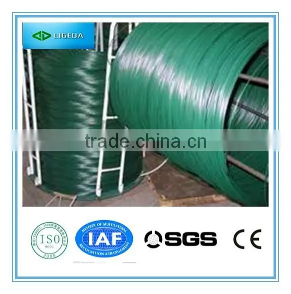 Cheap Galvanized Iron Wire/black Annealed Wire/PVC Coated Wire photo-2