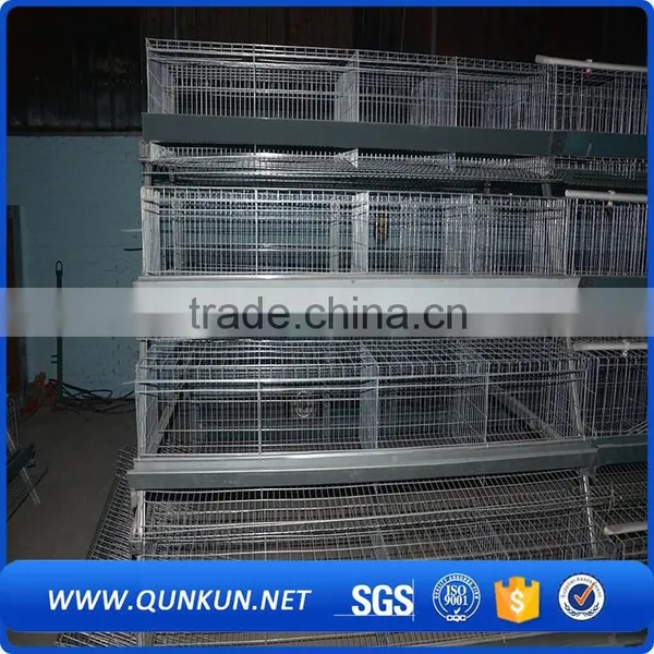 Electrical Tools Equipment Chicken Cage photo-4