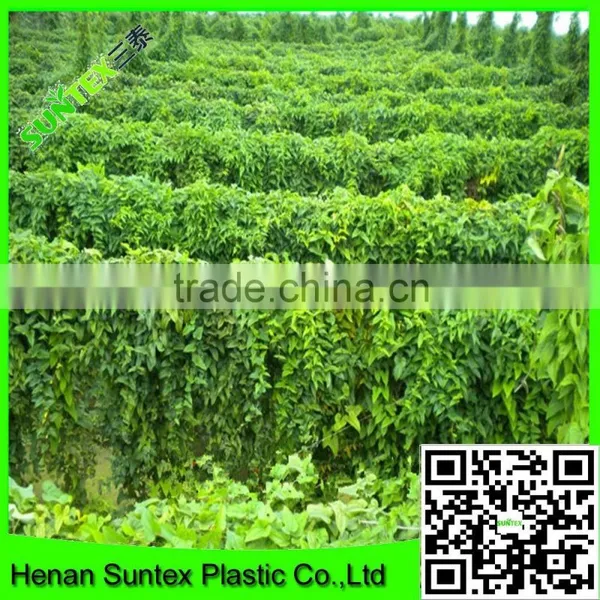 Garden Pea Trellis Netting Garden Support Mesh Net Climbing Plant Support Netting photo-4