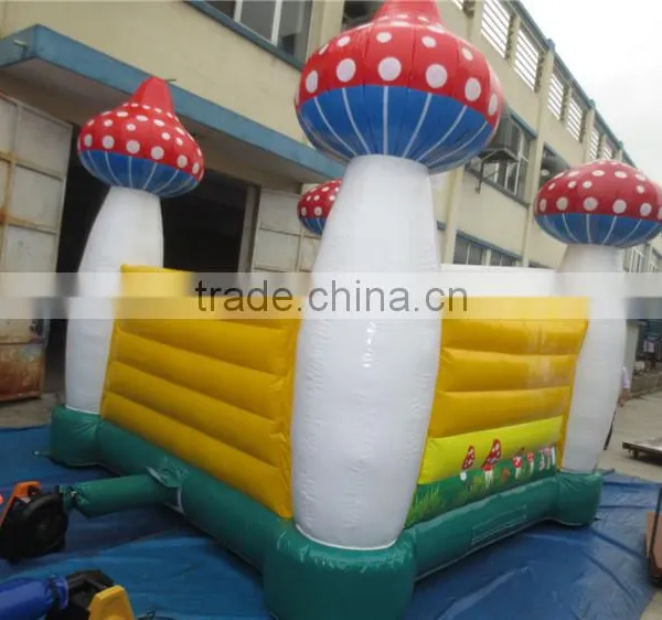 Best Selling Inflatable Bounce Castle Inflatable Combo for Children Quality Choice photo-2