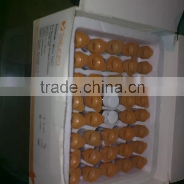 Micro Dose Cuvettes Filling and Sealing Machine photo-5