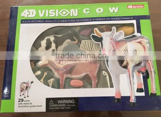 V-AM048 4D MASTER Cow Specimen Anatomical Model photo-5