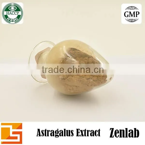 Hot Selling High Quality Polysacchrides 90% Astragalus Extract photo-4