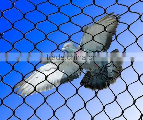 Anping Aviary Mesh for Animal Protection photo-3