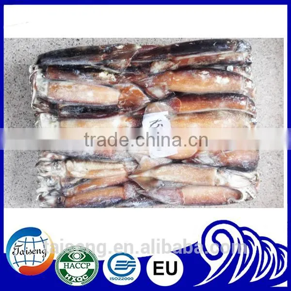 Frozen Illex Squid as Live Bait for Tuna Fishing photo-2