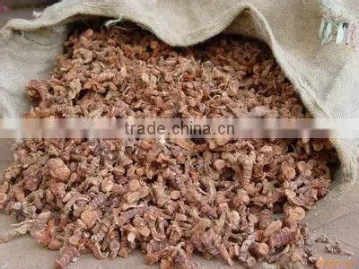 Dry Galangal Roots photo-2