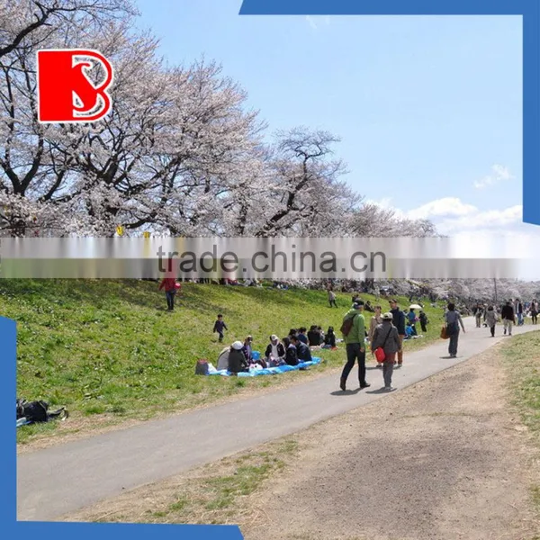 Waterproof PE Tarpaulin PE Plastic Eyelets Tarpaulin PE Sheet Tarpaulin Cover Polyethylene Woven photo-4