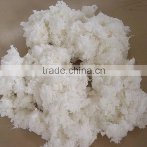 Cotton Linter photo-4