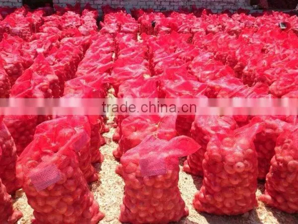 Top Fresh ONION WITH ALL SIZES photo-3