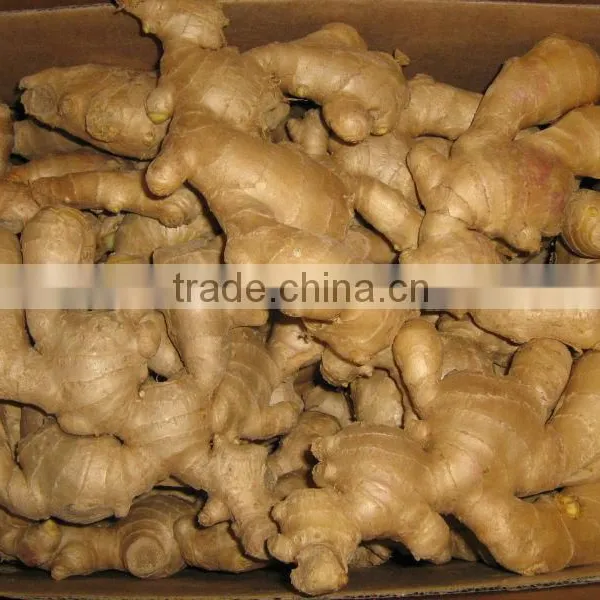 2013 Air Dried Ginger