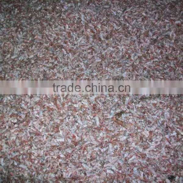 High Quality Dried Shrimp Body Shell From Bangladesh photo-3