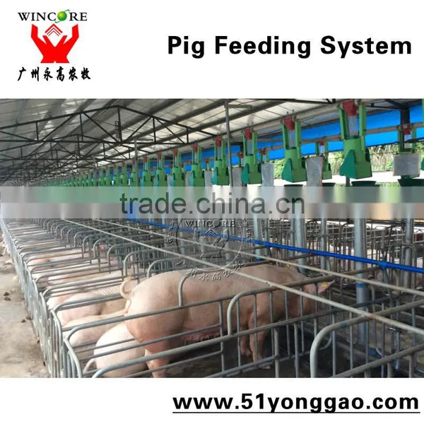 Pig Farm Equipment Sow Pig Gestation Crates Pig Equipment photo-4