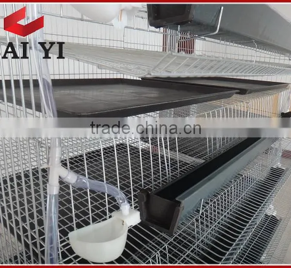 Layer Quail Cages For Sale From Direct Factory photo-5