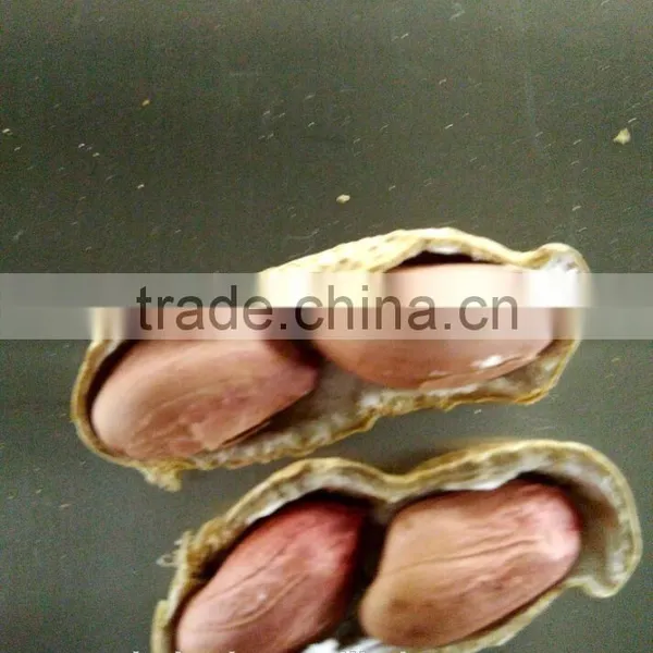After-sales Service Provided Peanut Machine for Sale photo-6