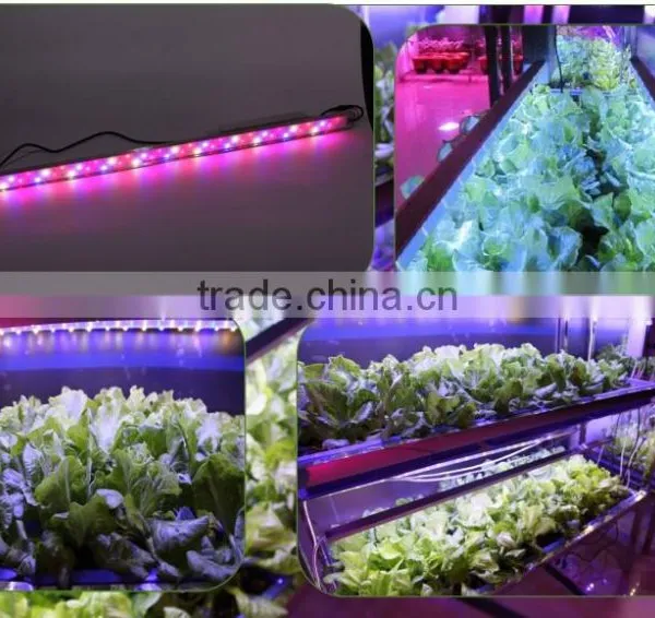 MarsHydro LED Lights Full Spectrum LED Grow Light Grow Projects Used Hydroponics Grow System LED Grow Light Grow Bar photo-3