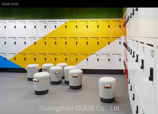 Guangzhou Cabinet & Drawer Magnetic Lock Electric Lock With Remote Control photo-4