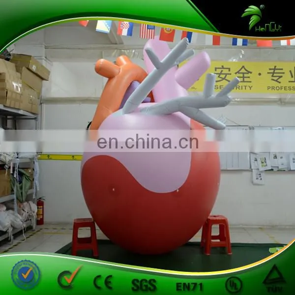 Promotional Large Inflatable Heart Replica,giant Lifelike Inflatable Human Heart Model for Sale photo-5