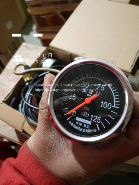 Chidong 12V190 Engine Parts H12V190BZL photo-2