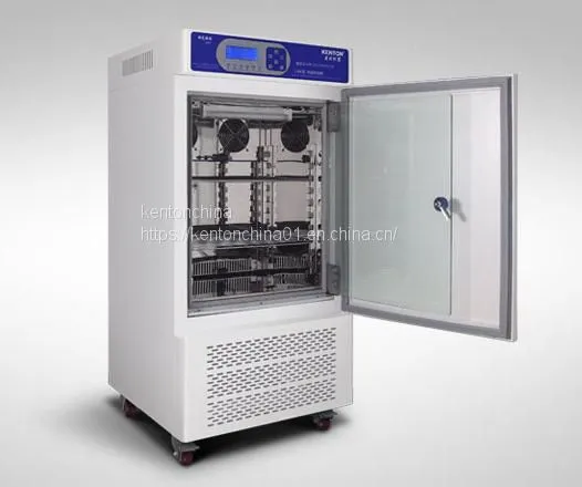 Factory Direct Sale Constant Temperature and Humidity Incubator-LRH photo-2